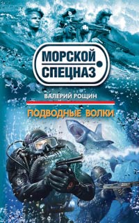 Подводные волки - Валерий Рощин - Читать книги онлайн | Слушать аудиокниги онлайн | Электронная библиотека books-lib.com