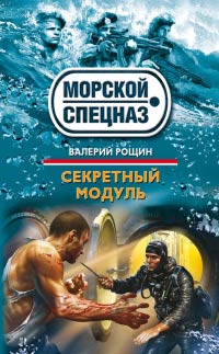 Секретный модуль - Валерий Рощин - Читать книги онлайн | Слушать аудиокниги онлайн | Электронная библиотека books-lib.com