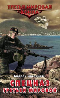 Спецназ Третьей Мировой. Русские козыри - Андрей Загорцев - Читать книги онлайн | Слушать аудиокниги онлайн | Электронная библиотека books-lib.com
