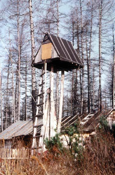 Мохнатый бог Мохнатый бог
