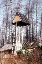 Мохнатый бог Мохнатый бог