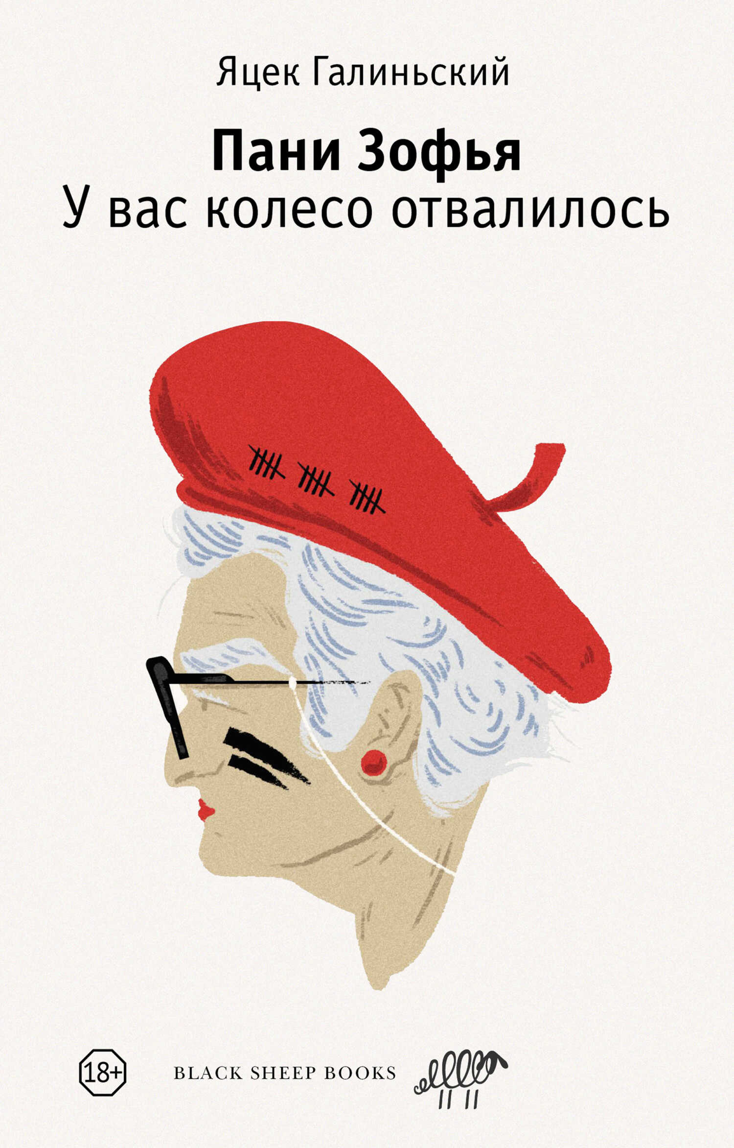 Пани Зофья. У вас колесо отвалилось - Яцек Галиньский - Читать книги онлайн | Слушать аудиокниги онлайн | Электронная библиотека books-lib.com