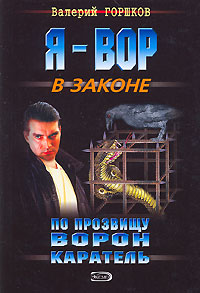 Каратель - Валерий Горшков - Читать книги онлайн | Слушать аудиокниги онлайн | Электронная библиотека books-lib.com
