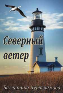 Северный ветер - Валентина Нурисламова - Читать книги онлайн | Слушать аудиокниги онлайн | Электронная библиотека books-lib.com