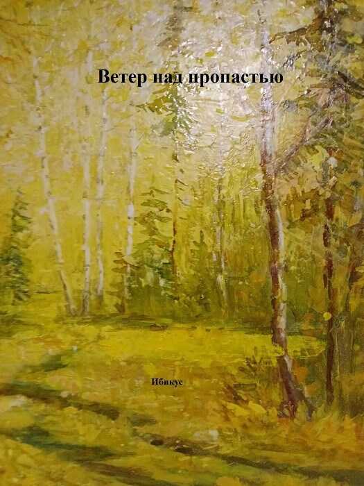 Ветер над пропастью - Ибикус - Читать книги онлайн | Слушать аудиокниги онлайн | Электронная библиотека books-lib.com