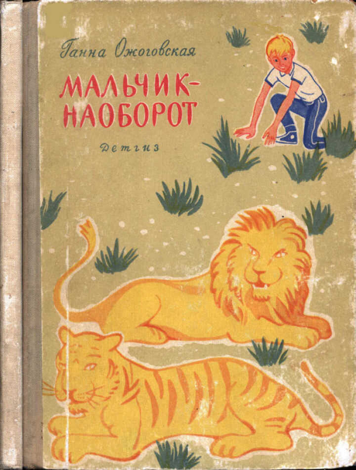 Мальчик-наоборот - Ганна Ожоговская - Читать книги онлайн | Слушать аудиокниги онлайн | Электронная библиотека books-lib.com