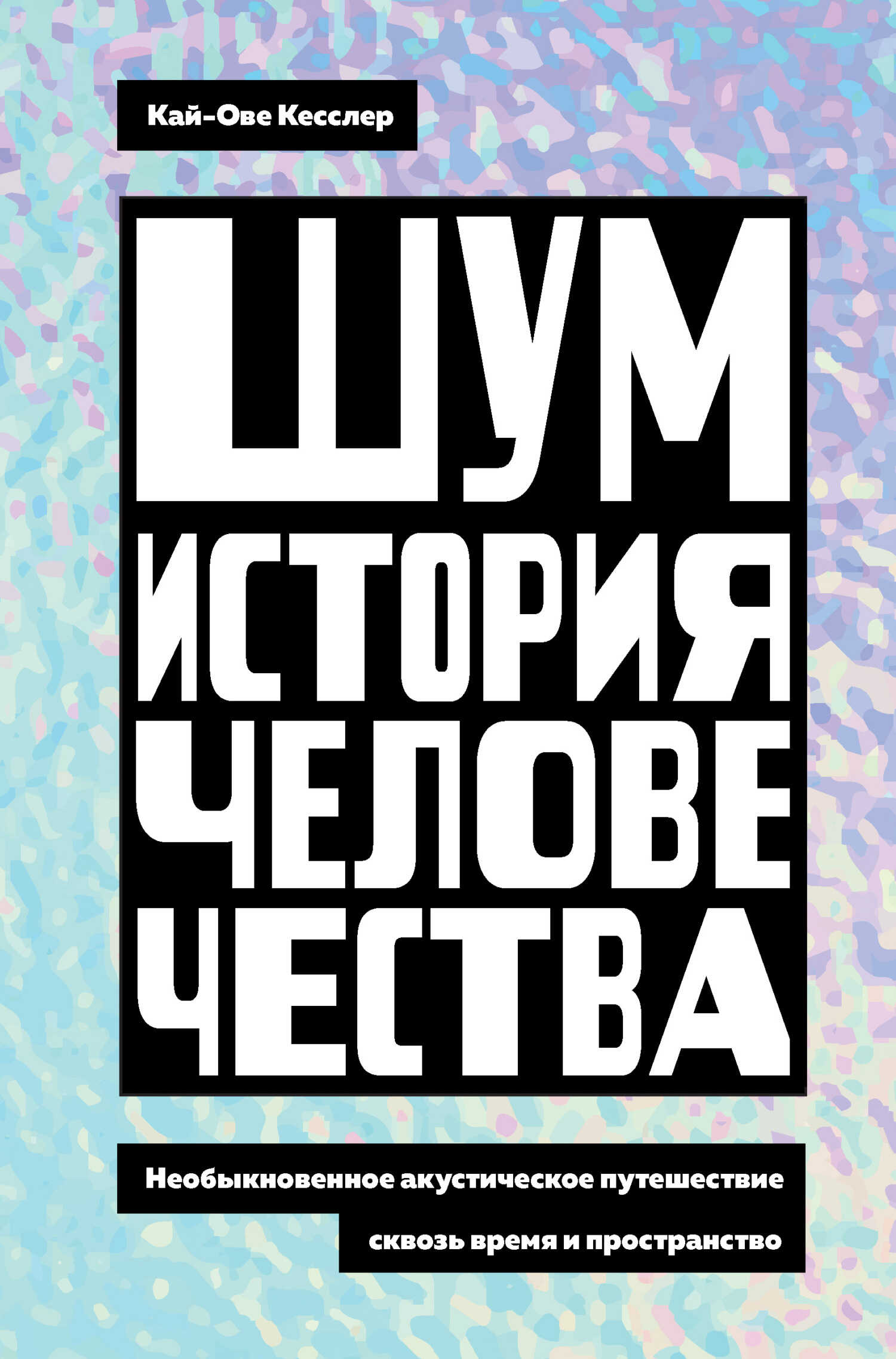 Шум. История человечества. Необыкновенное акустическое путешествие сквозь время и пространство - Кай-Ове Кесслер - Читать книги онлайн | Слушать аудиокниги онлайн | Электронная библиотека books-lib.com