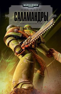 Саламандры. Книга 1. Трилогии огня - Ник Кайм - Читать книги онлайн | Слушать аудиокниги онлайн | Электронная библиотека books-lib.com