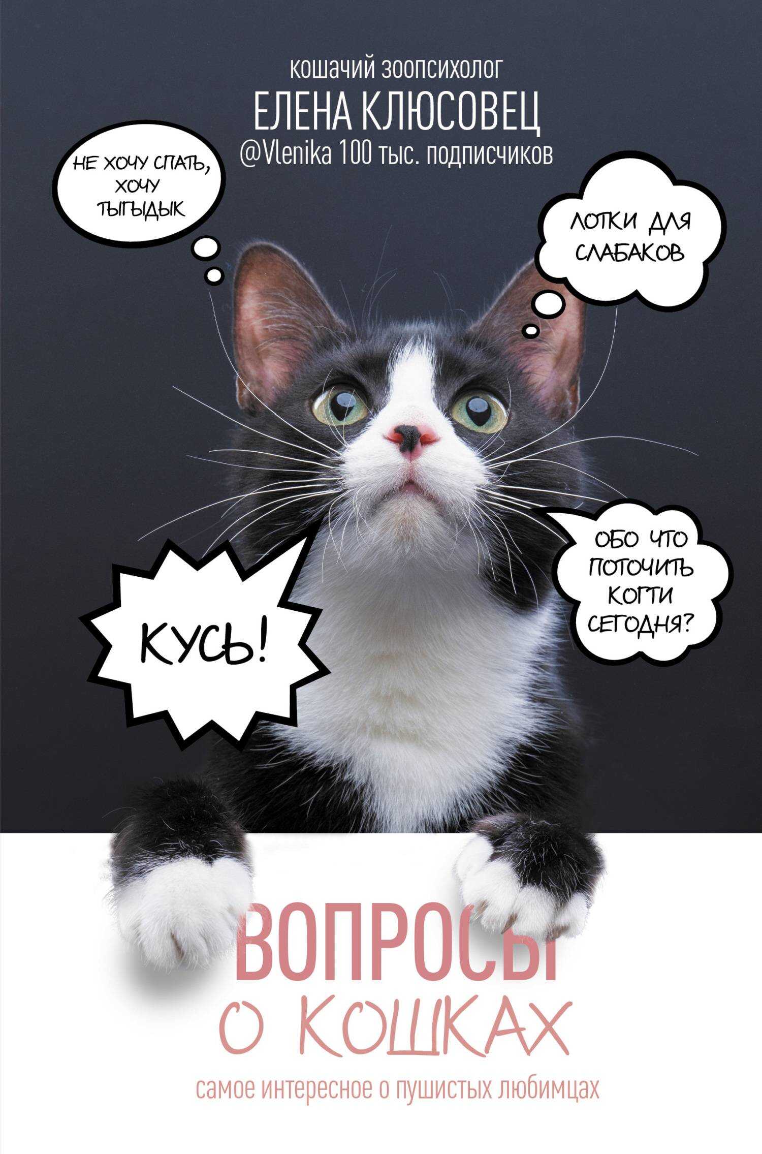 Вопросы о кошках. Самое интересное о пушистых любимцах - Елена Валериевна Клюсовец - Читать книги онлайн | Слушать аудиокниги онлайн | Электронная библиотека books-lib.com