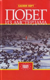 Побег из Амстердама - Саския Норт - Читать книги онлайн | Слушать аудиокниги онлайн | Электронная библиотека books-lib.com