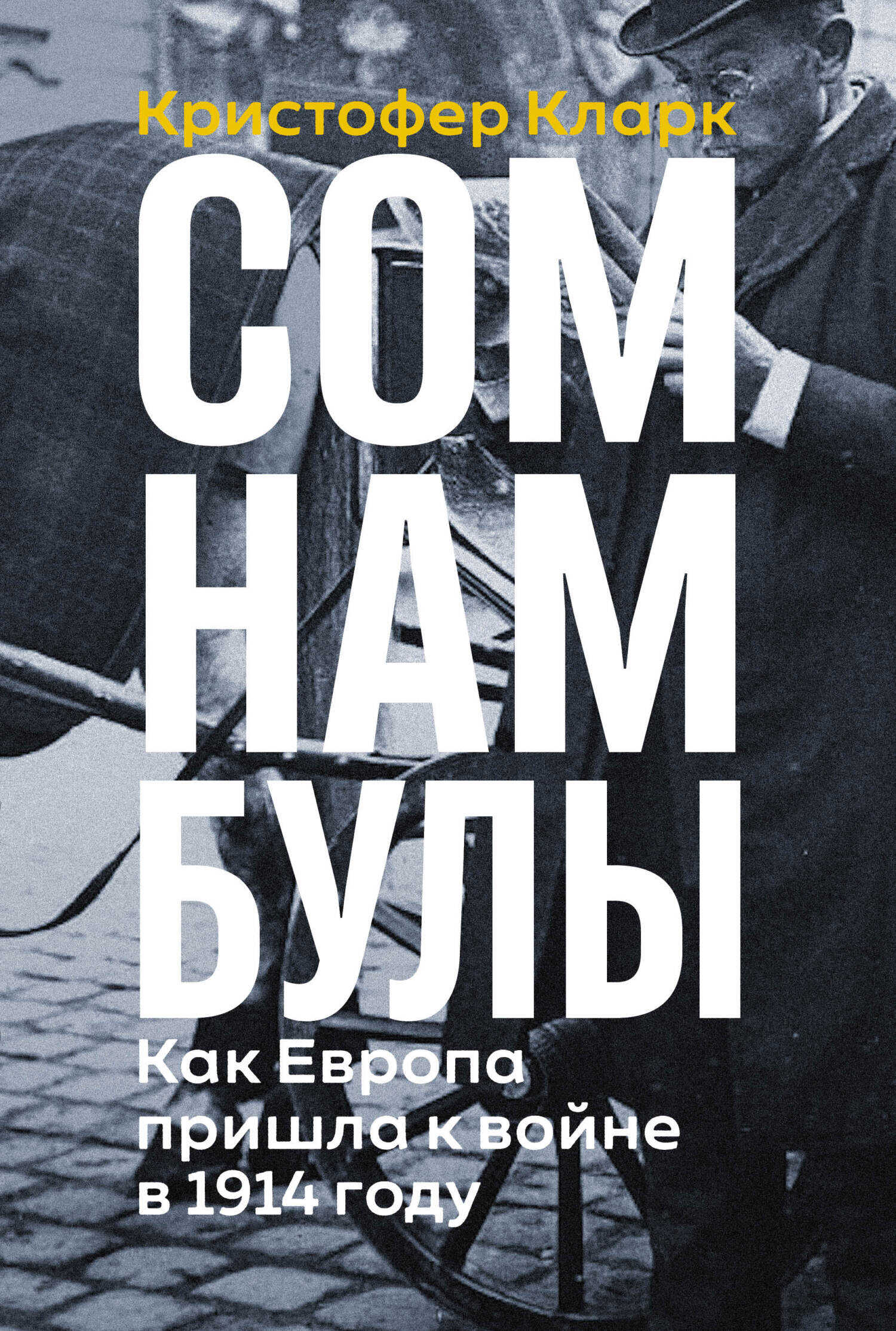 Сомнамбулы: Как Европа пришла к войне в 1914 году - Кристофер Кларк - Читать книги онлайн | Слушать аудиокниги онлайн | Электронная библиотека books-lib.com