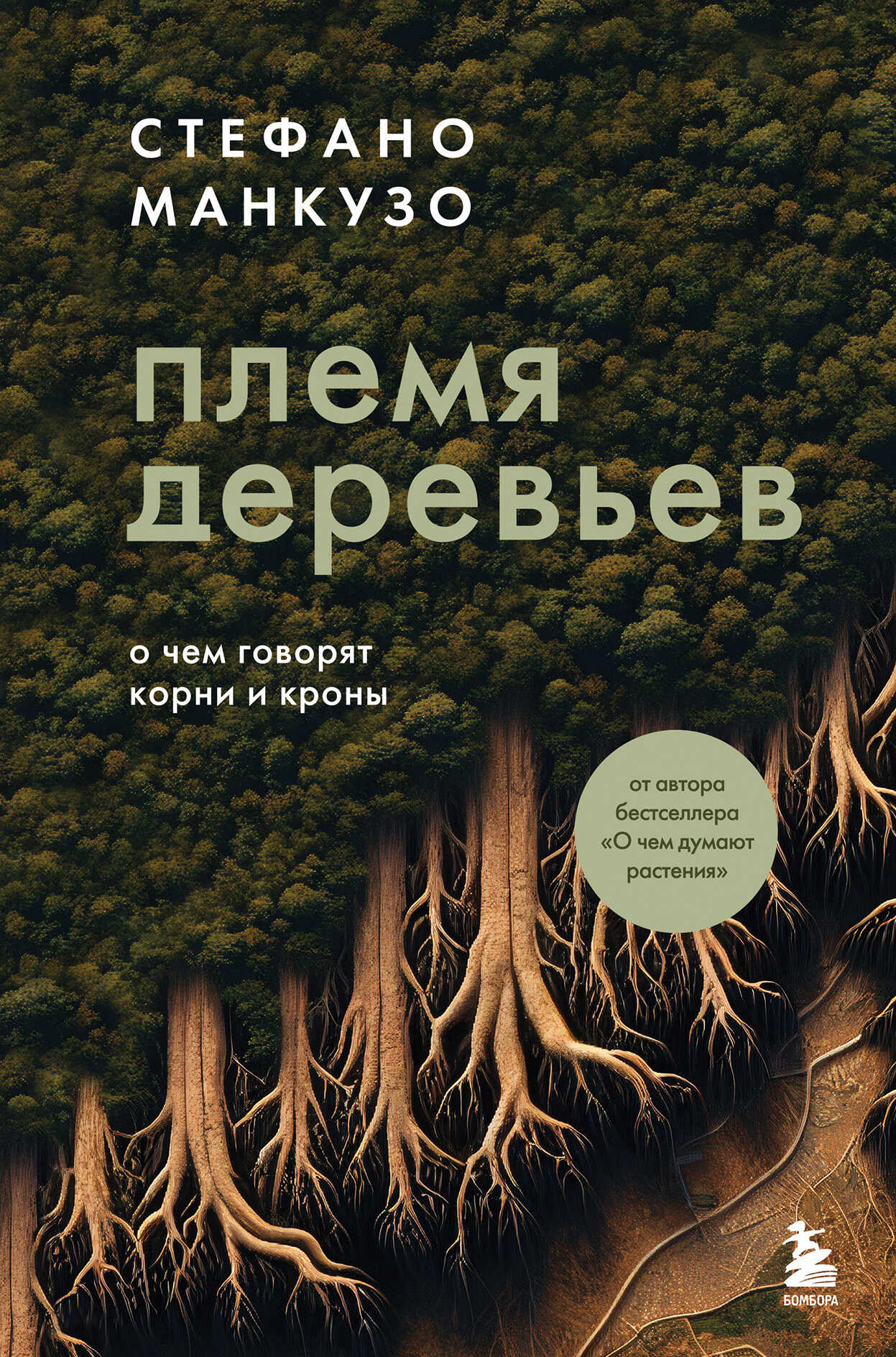 Племя деревьев. О чем говорят корни и кроны - Стефано Манкузо - Читать книги онлайн | Слушать аудиокниги онлайн | Электронная библиотека books-lib.com