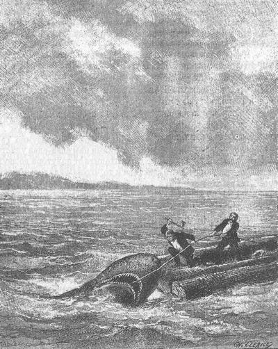 Затерянные в океане