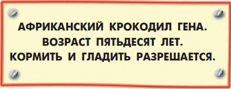 Все о Чебурашке и Крокодиле Гене Все о Чебурашке и Крокодиле Гене