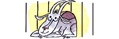 Школа клоунов Школа клоунов