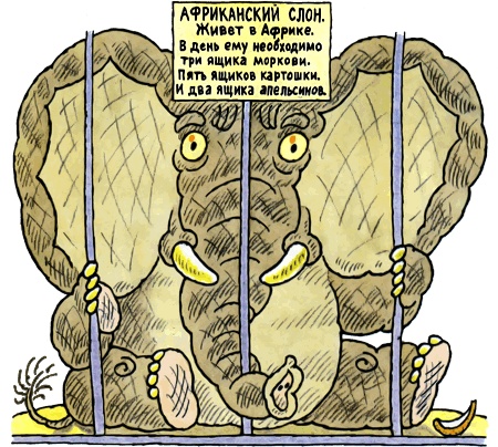 Школа клоунов Школа клоунов