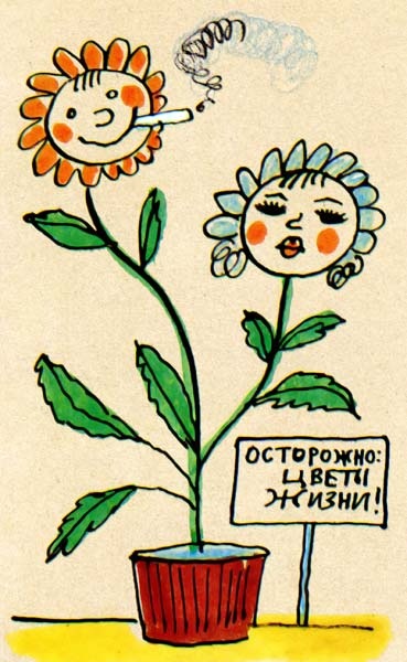 Юности честное зерцало Юности честное зерцало