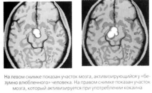 Почему мужчины хотят секса, а женщины любви - Аллан Пиз, Барбара Пиз