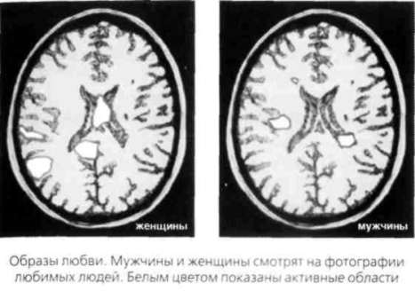 Почему мужчины хотят секса, а женщины любви - Аллан Пиз, Барбара Пиз