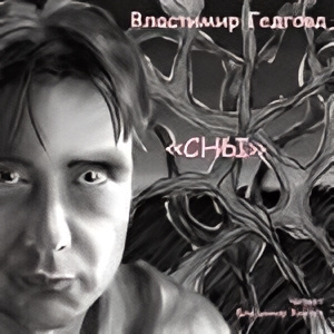 Гедговд Властимир – Серия СНЫ - Читать книги онлайн | Слушать аудиокниги онлайн | Электронная библиотека books-lib.com
