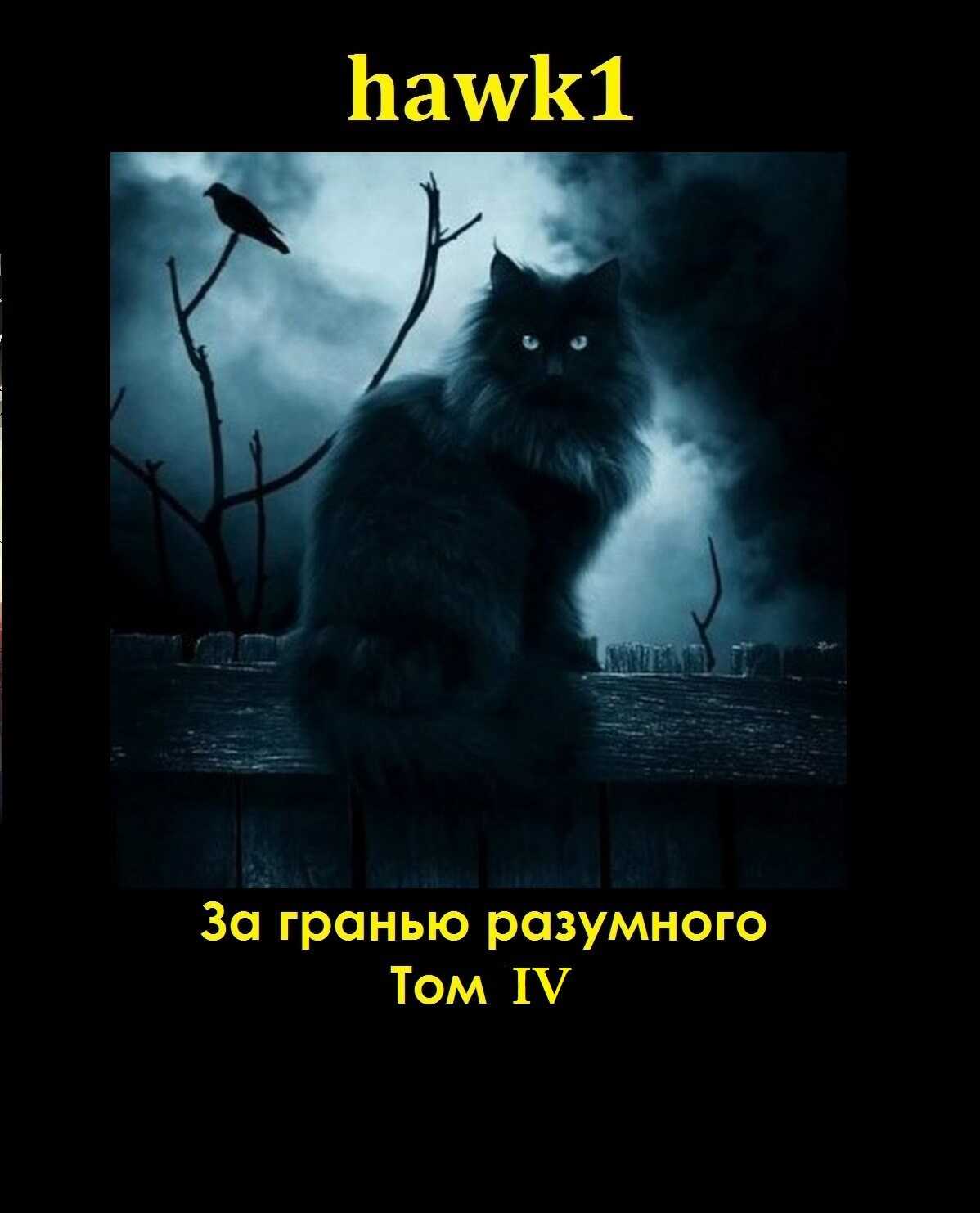 За гранью разумного. Том 4. - hawk1 - Читать книги онлайн | Слушать аудиокниги онлайн | Электронная библиотека books-lib.com