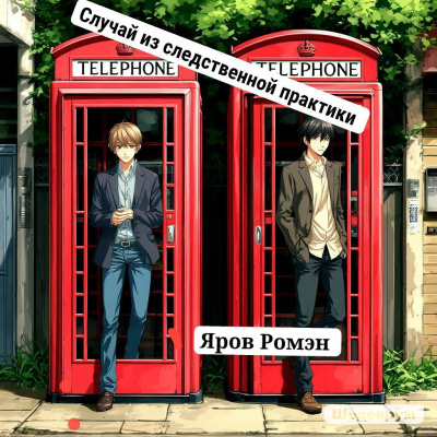 Яров Ромэн – Случай из следственной практики - Читать книги онлайн | Слушать аудиокниги онлайн | Электронная библиотека books-lib.com