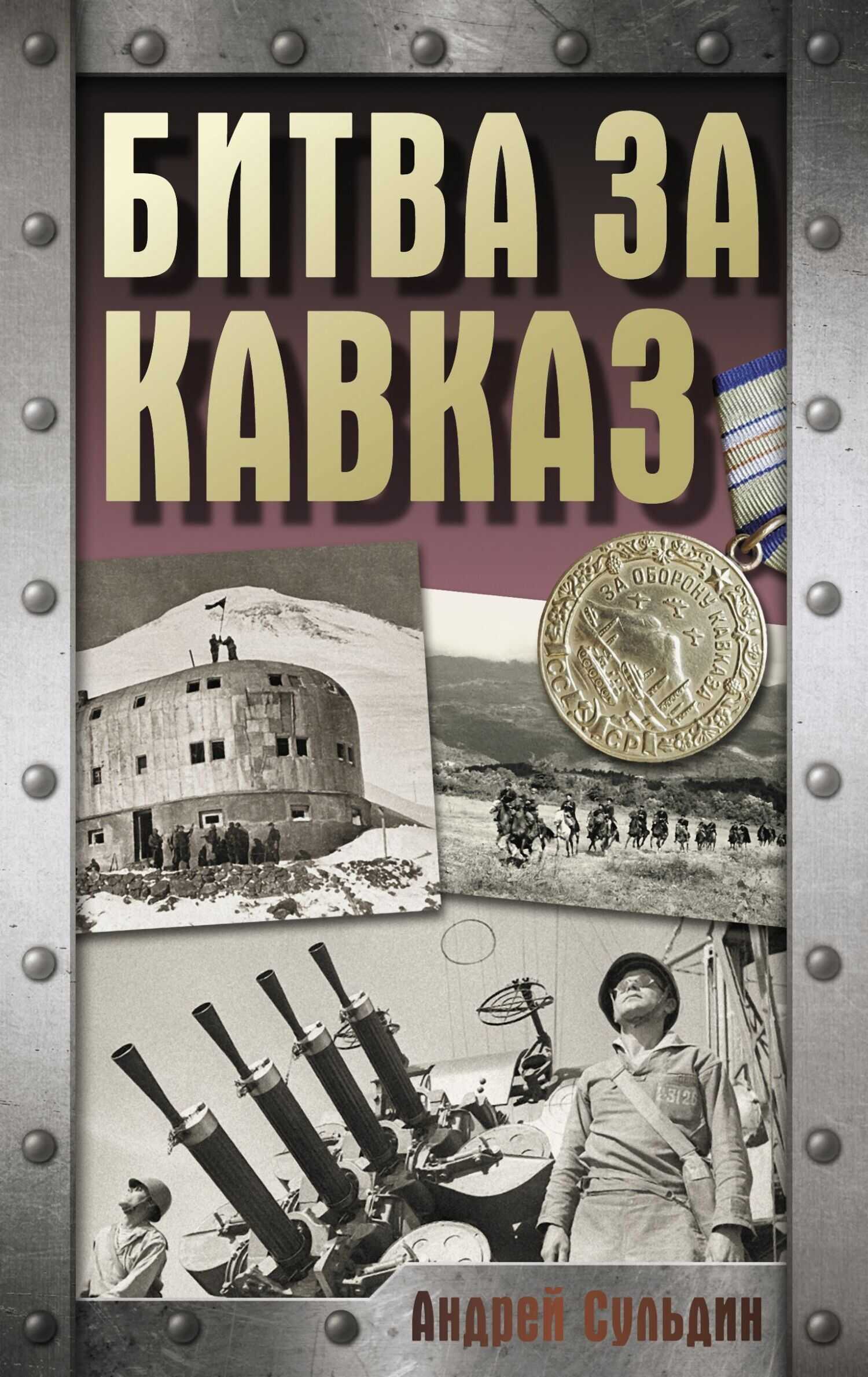 Битва за Кавказ - Андрей Васильевич Сульдин - Читать книги онлайн | Слушать аудиокниги онлайн | Электронная библиотека books-lib.com