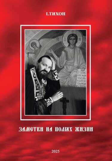 Заметки на полях жизни - Иеромонах Тихон (Невидимов) - Читать книги онлайн | Слушать аудиокниги онлайн | Электронная библиотека books-lib.com