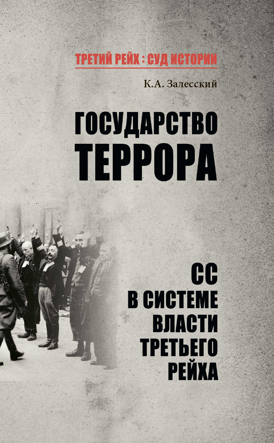 Государство террора. СС в системе власти Третьего рейха - Константин Александрович Залесский - Читать книги онлайн | Слушать аудиокниги онлайн | Электронная библиотека books-lib.com