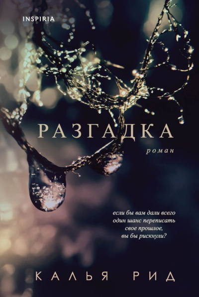 Рид Калья – Разгадка - Читать книги онлайн | Слушать аудиокниги онлайн | Электронная библиотека books-lib.com