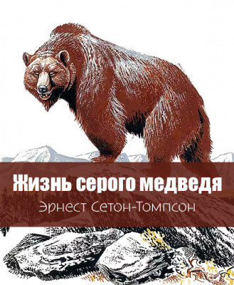 Сетон-Томпсон Эрнест – Жизнь серого медведя - Читать книги онлайн | Слушать аудиокниги онлайн | Электронная библиотека books-lib.com