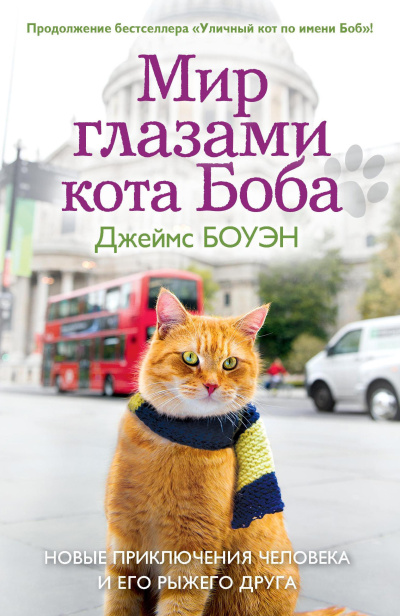 Боуэн Джеймс – Мир глазами кота Боба - Читать книги онлайн | Слушать аудиокниги онлайн | Электронная библиотека books-lib.com