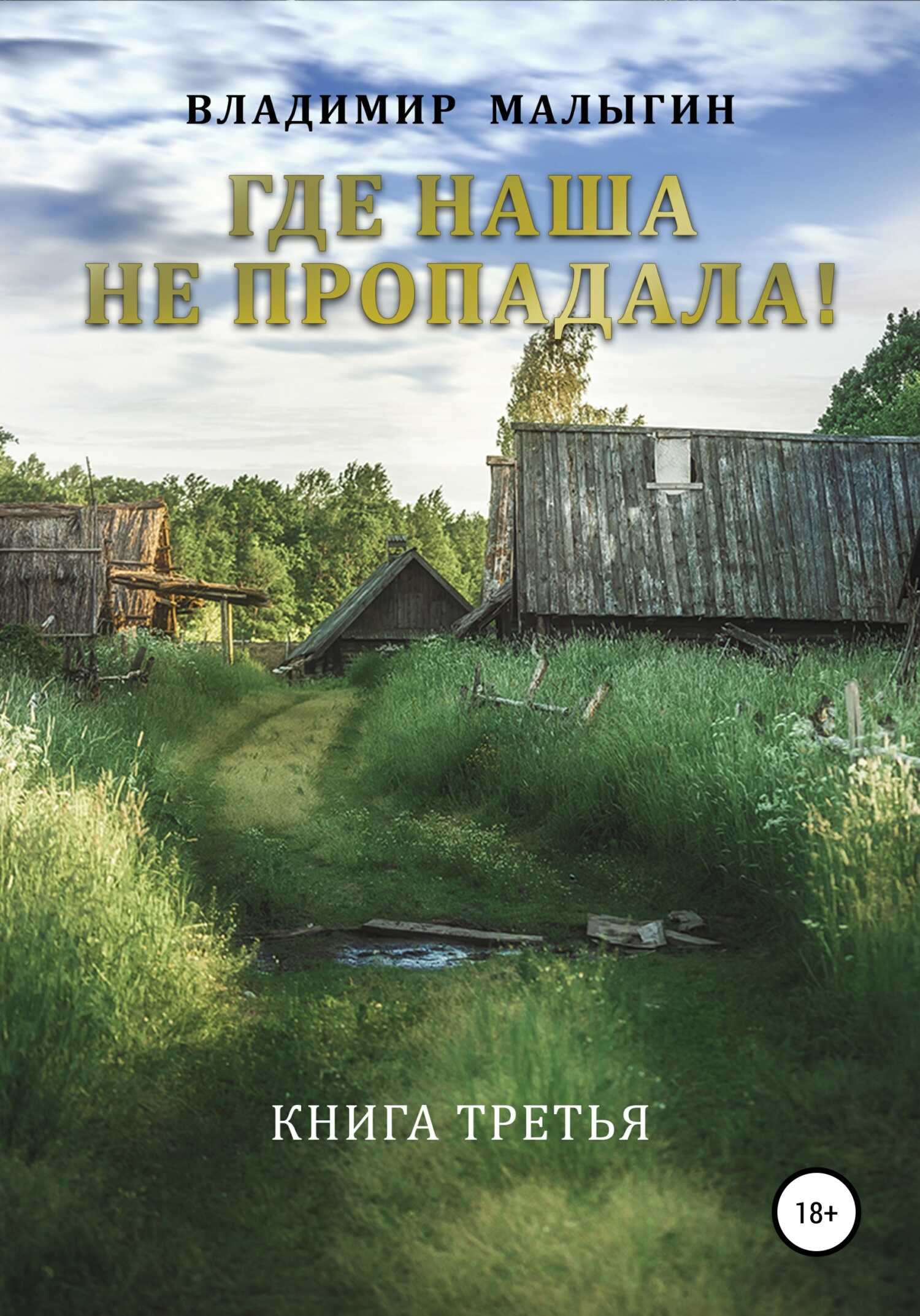 Где наша не пропадала 3 - Владимир Владиславович Малыгин - Читать книги онлайн | Слушать аудиокниги онлайн | Электронная библиотека books-lib.com