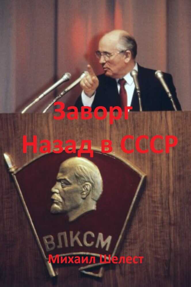 Заворг. Назад в СССР. - Михаил Васильевич Шелест - Читать книги онлайн | Слушать аудиокниги онлайн | Электронная библиотека books-lib.com