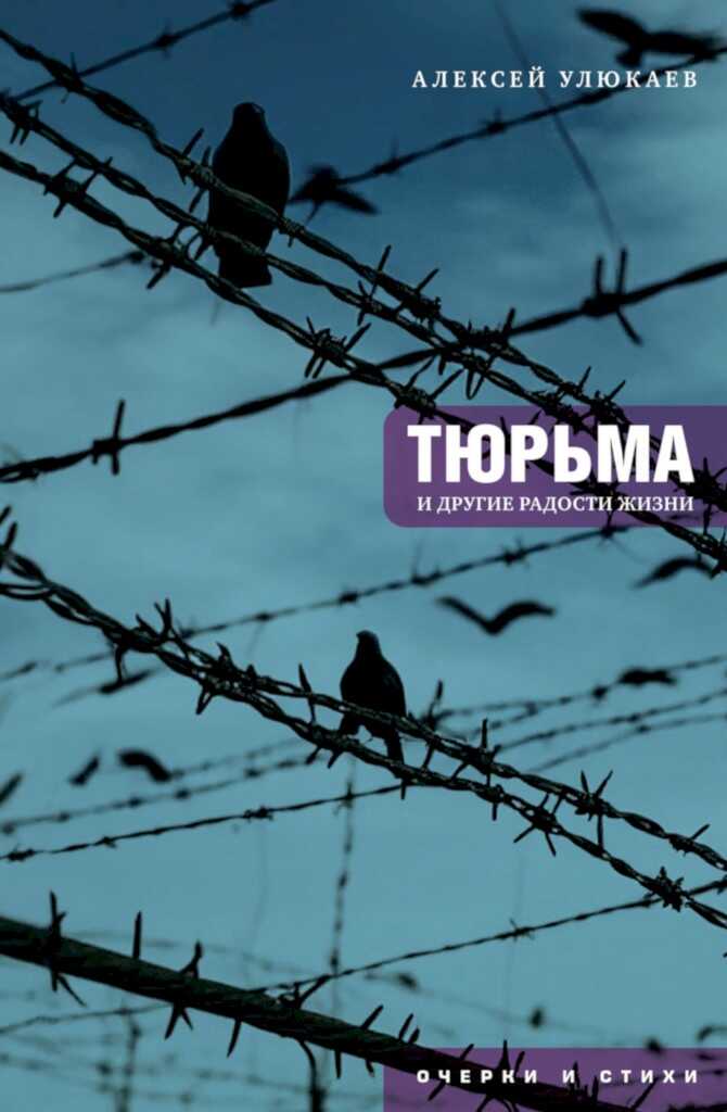 Тюрьма и другие радости жизни. Очерки и стихи - Алексей Валентинович Улюкаев - Читать книги онлайн | Слушать аудиокниги онлайн | Электронная библиотека books-lib.com