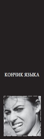 Хроника одного падения Хроника одного падения