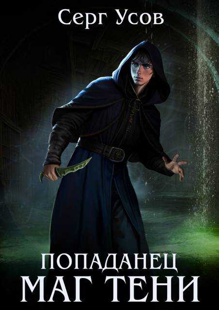 Попаданец. Маг Тени. Книга 11 - Серг Усов Читать книги онлайн | Слушать аудиокниги онлайн | Электронная библиотека books-lib.com
