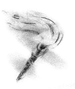 Луноликой матери девы Луноликой матери девы