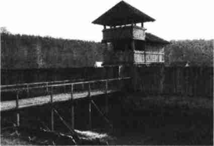 Варяжская Русь. Славянская Атлантида Варяжская Русь. Славянская Атлантида