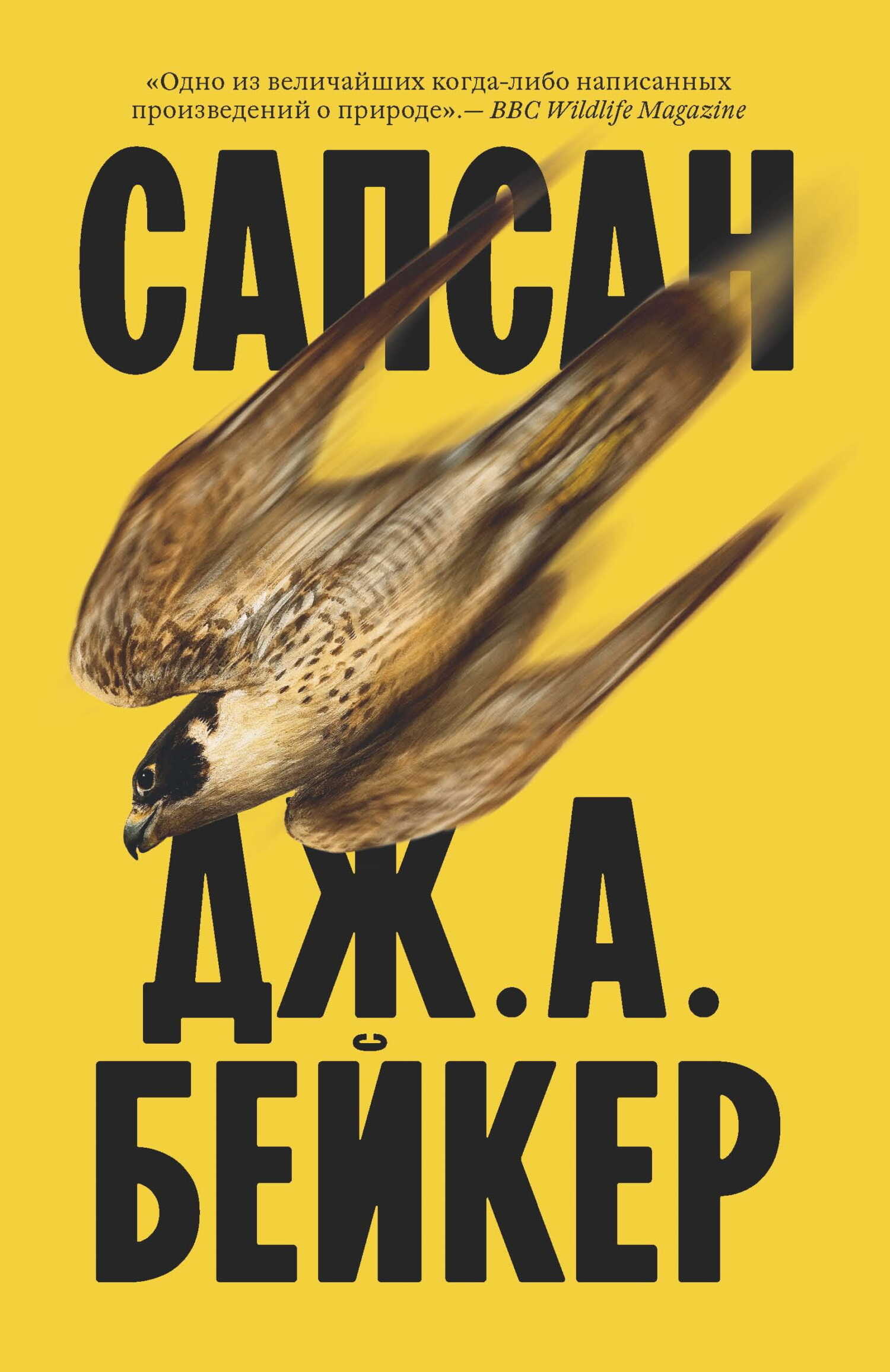 Сапсан - Джон Алек Бейкер - Читать книги онлайн | Слушать аудиокниги онлайн | Электронная библиотека books-lib.com