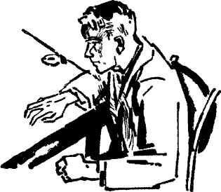 След лисицы След лисицы