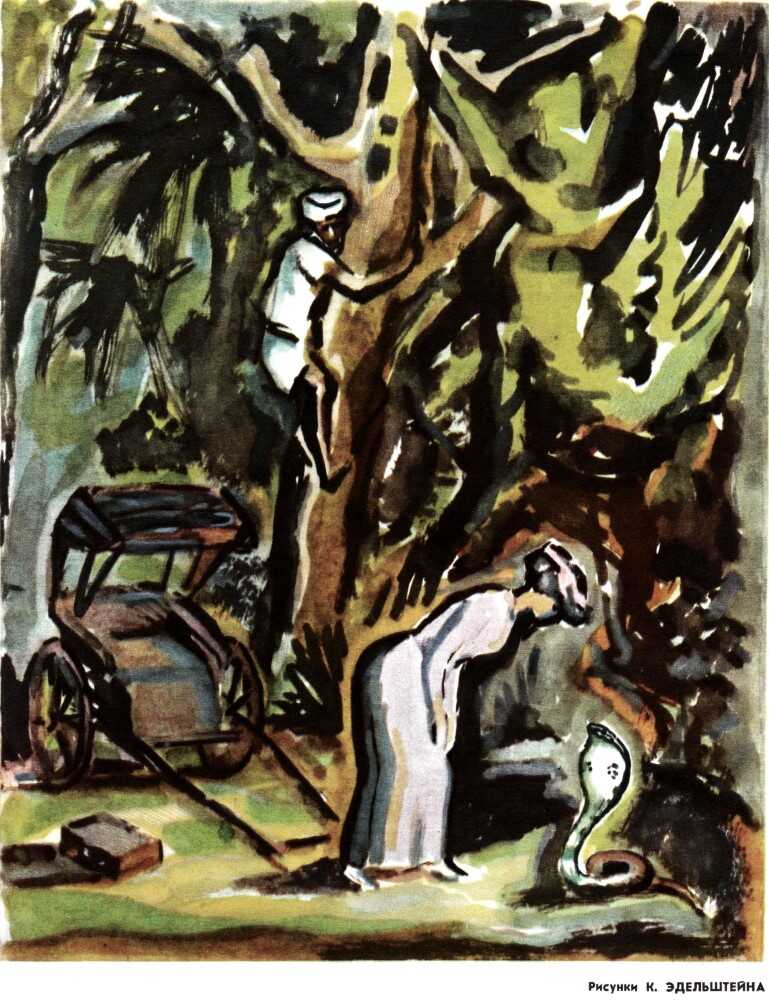 Королева кобр - Игорь Всеволодович Можейко Читать книги онлайн | Слушать аудиокниги онлайн | Электронная библиотека books-lib.com