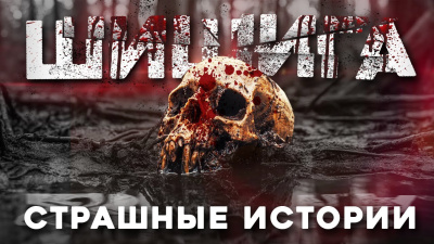 Лихачёва Юлия – Шишига Читать книги онлайн | Слушать аудиокниги онлайн | Электронная библиотека books-lib.com