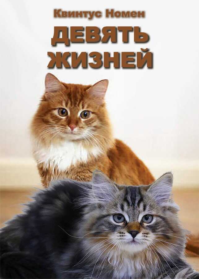 Девять жизней - Квинтус Номен Читать книги онлайн | Слушать аудиокниги онлайн | Электронная библиотека books-lib.com