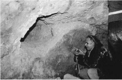 Бумаги Иисуса Бумаги Иисуса