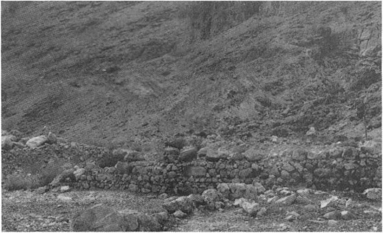 Свитки Мертвого моря Свитки Мертвого моря