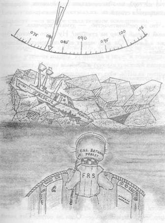 Хорьки-спасатели на море Хорьки-спасатели на море