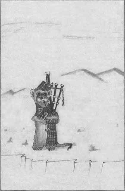 Хроники хорьков. Хорьки-фермеры в горах Хроники хорьков. Хорьки-фермеры в горах