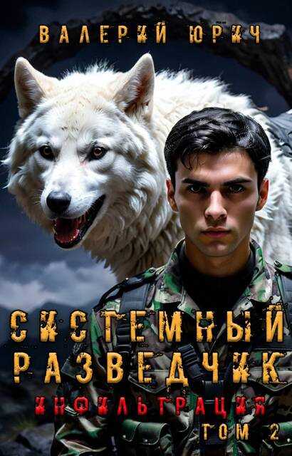 Системный разведчик. Инфильтрация. Том 2 - Валерий Юрич - Читать книги онлайн | Слушать аудиокниги онлайн | Электронная библиотека books-lib.com