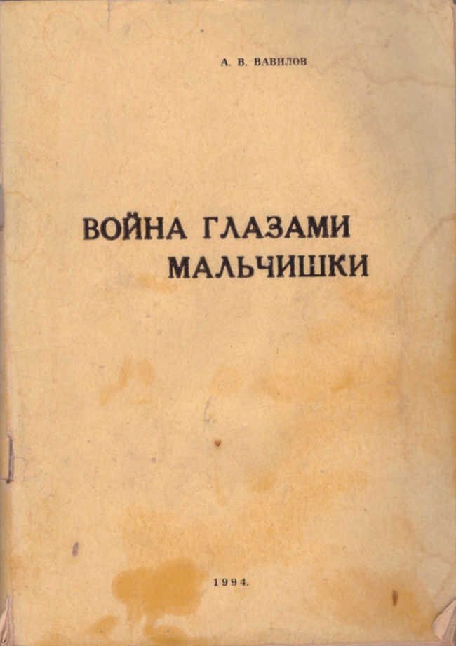 Война глазами мальчишки - А. В. Вавилов Читать книги онлайн | Слушать аудиокниги онлайн | Электронная библиотека books-lib.com